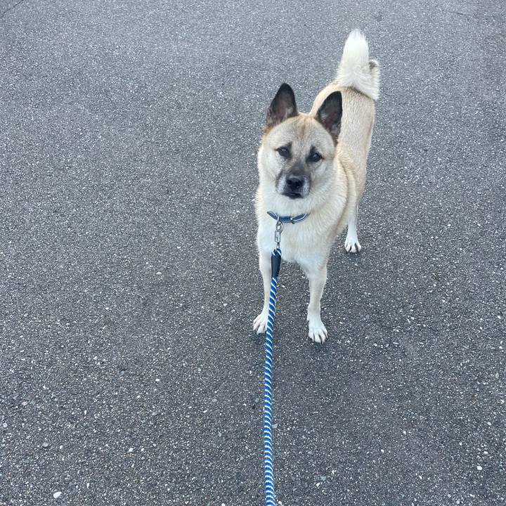 B77c12ec d964 4179 8b28 8a623efc3f46 1661432968571