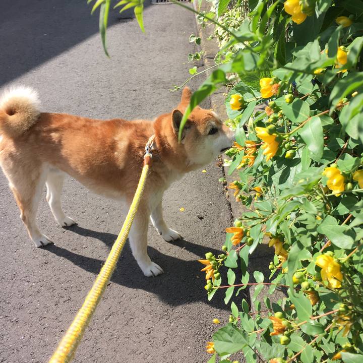 B77c1795 3a09 4151 8388 974e8d52123d 1618290523361