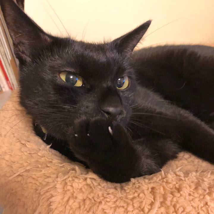 B77c2ffd ed2a 4bc3 a8bb f7629306ca2e 1538577993587