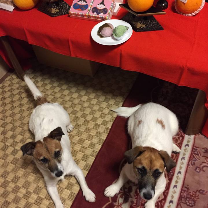 B77c5b24 22ed 424c 98ae 1d25b22f3e24 1522762669776