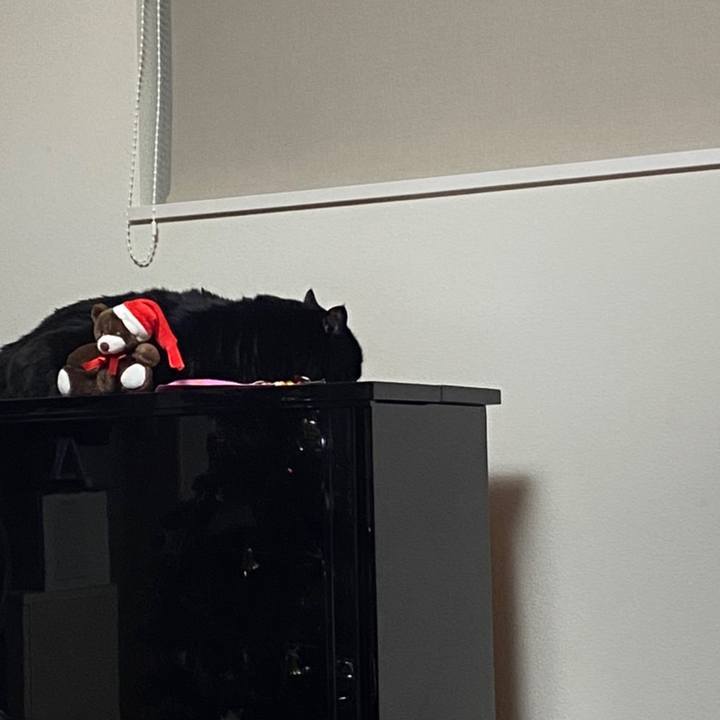 B77c8b3e f41c 4ff0 872e fb9787545d44 1608908678338