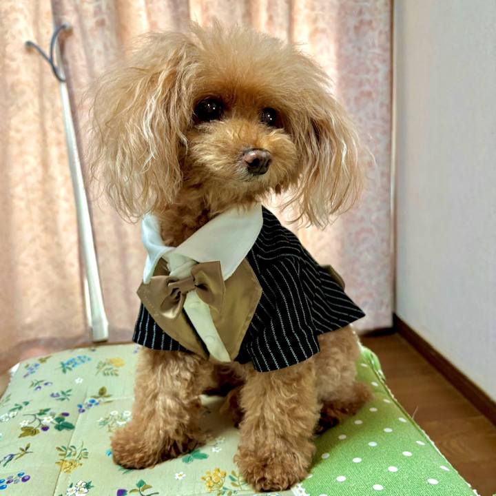 B77cae80 ce94 4dc8 83e9 9e51066da29c 1759026670154