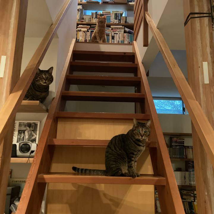 B77cf9bf cb3f 4054 abf5 b1a453ef774a 1730506451373