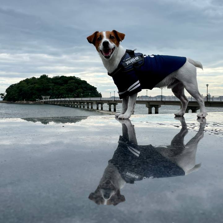 B77cfda9 9097 45cd a435 af6ec8c9d84a 1660560118743