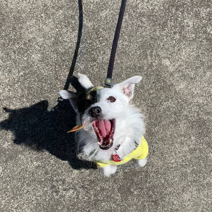 B77d05e5 d635 48cb 85d9 3c49d5467bb2 1683161471039