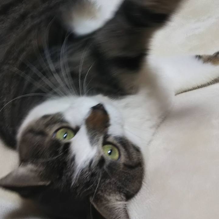 B77d06a1 8f5a 4ace b42e 34427cd93da5 1607348135667