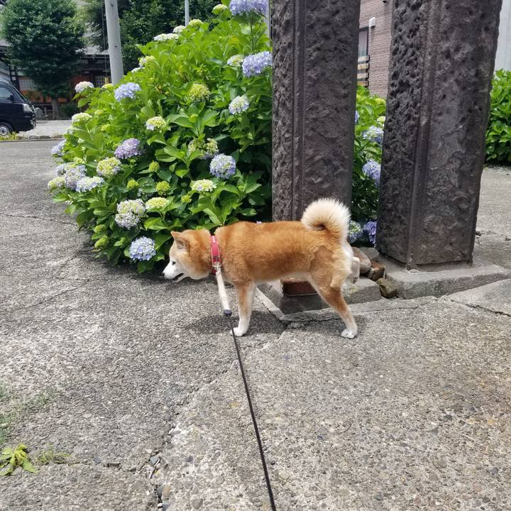 B77d85f7 c0ac 4d65 a745 a99e0fbf2b61 1750827571070