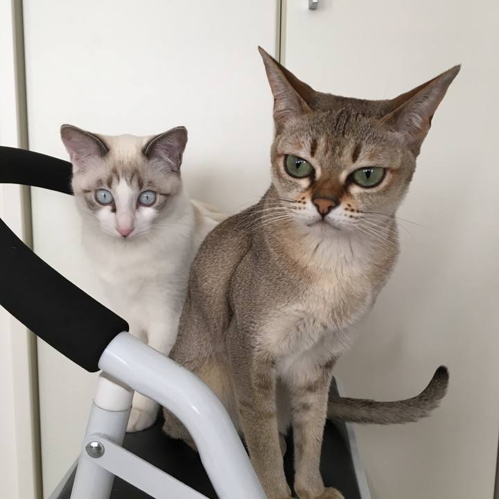 B77db470 723e 4102 b48c fc9727b75631 1512789522052