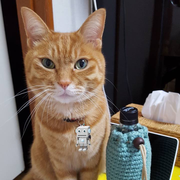 B77db501 669f 4a2d 8cab 690049e58528 1510577756355