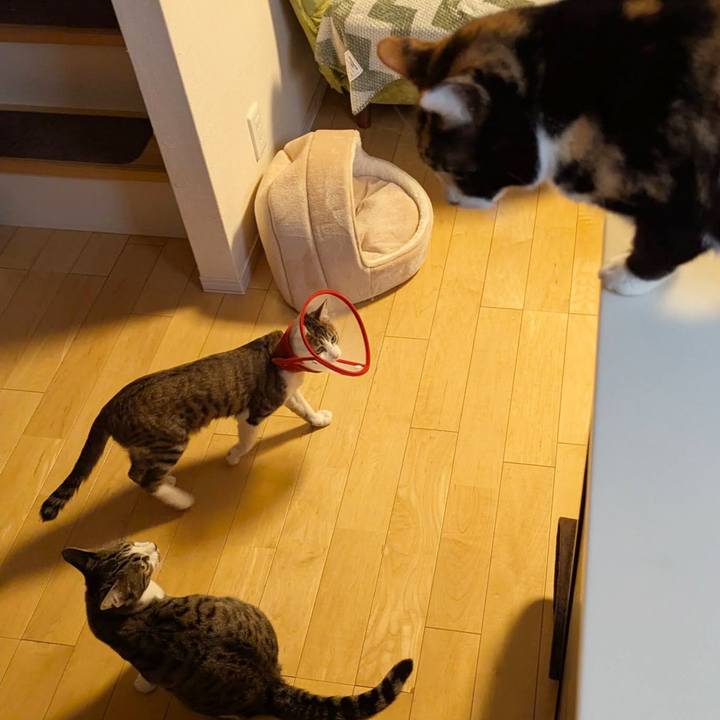 B77dbb1f 3b46 4e38 9576 6f245094d8a9 1742020807990