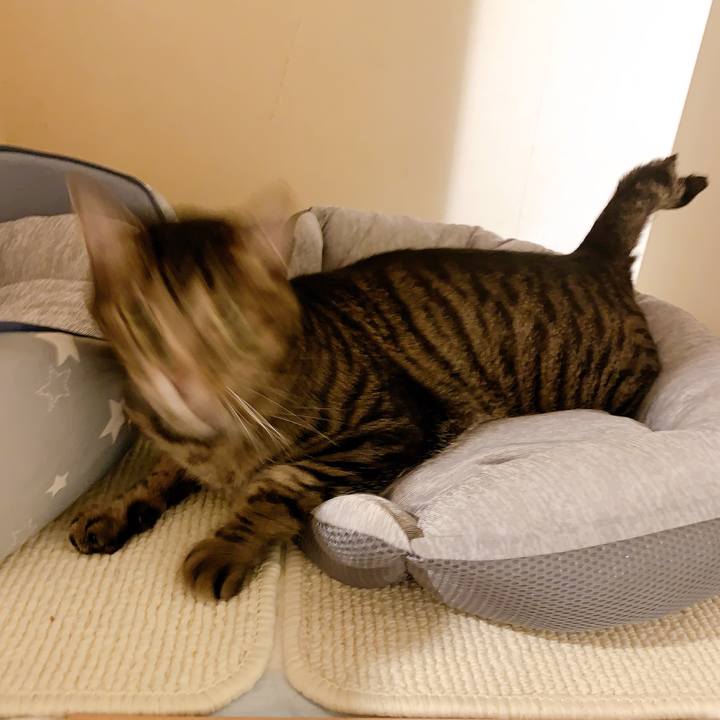 B77dc9a5 aa91 4325 a95a b9b068b0a92b 1655619598262