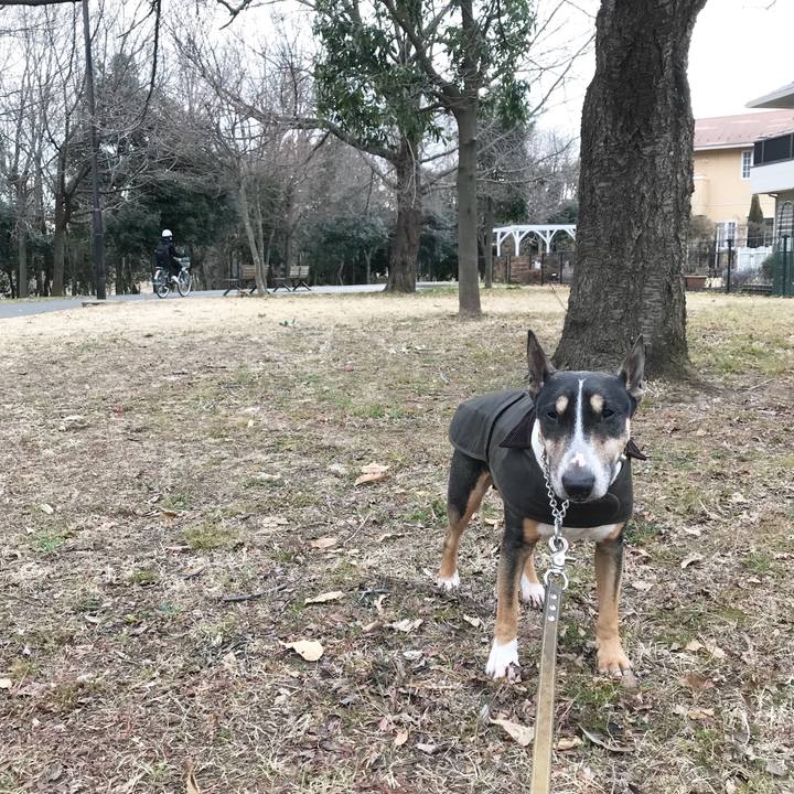 B77dd8ac 635d 4dbb abd4 9e18b500be7d 1519207605101