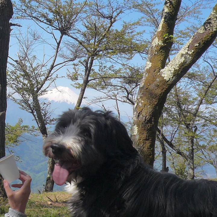 B77ddf2e 5764 4ec3 9741 dddce01fe543 1525397621089