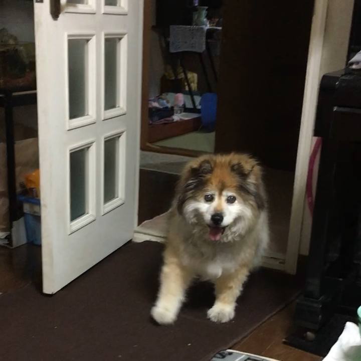 B77dfea4 bd81 476c 8de7 c7de277f7299 1557482433329