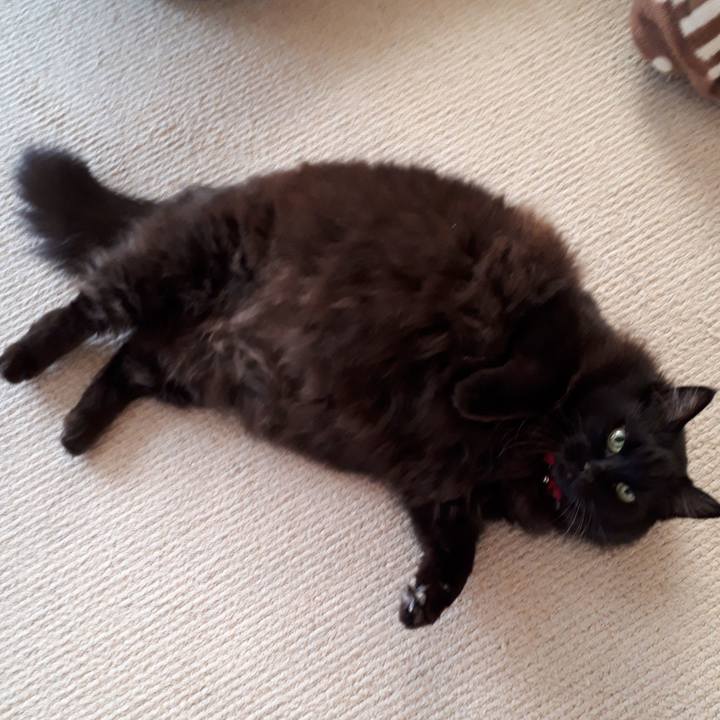 B77e07ca c92f 4df8 a048 5e5dfdda9e23 1519104866364