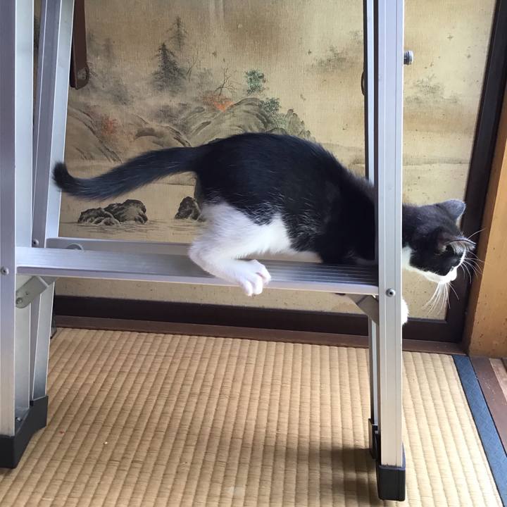 B77e13f4 c82a 4101 b51a 0e48e42f4320 1624946121570