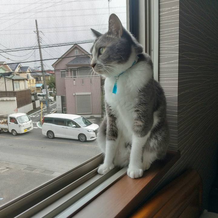 B77e1759 acd7 4570 a294 ebed78b308c8 1634259505959