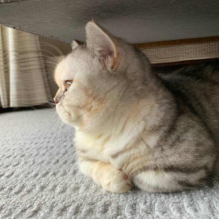 B77eb23b e524 4630 833b fbf187e1e974 1705558161410