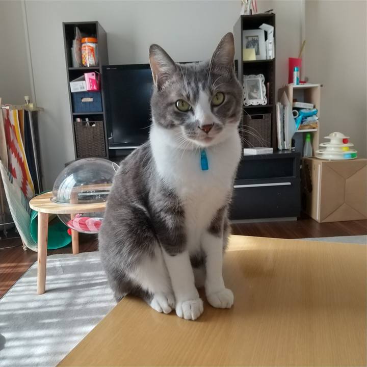 B77ee974 6dbe 4210 bbad e4cf7c52811d 1613013793286