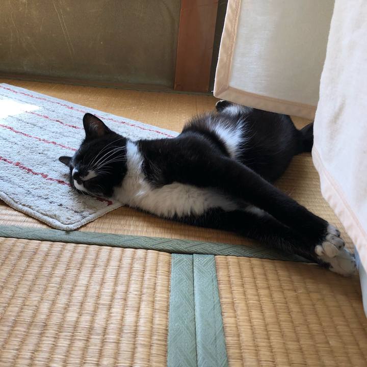 B77f3986 9fc5 47d8 ac75 4d9fa8e3b6bf 1526874438839