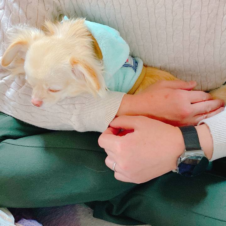 B77f545b 2c11 4c38 a03e df152023c9a1 1640955115401