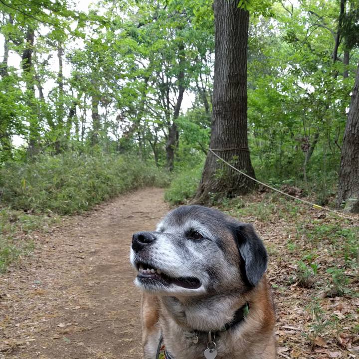 B77f7881 84d5 437f b375 4a6b12bae649 1556064001127