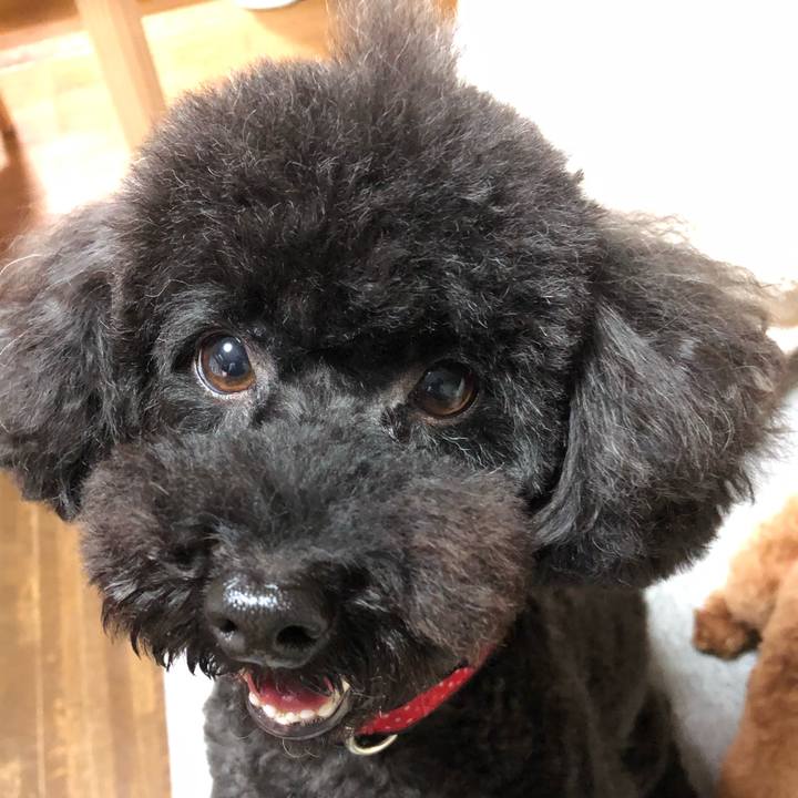 B77f84e2 8fdb 4da5 a639 23481a09f812 1594553285744