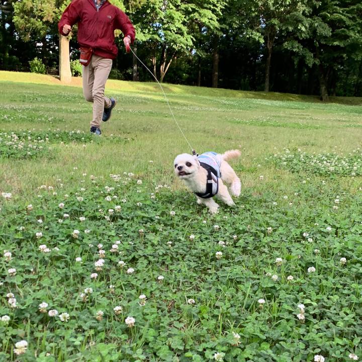 B77f9326 6dfd 422b bd16 5670e56c8173 1560730016213