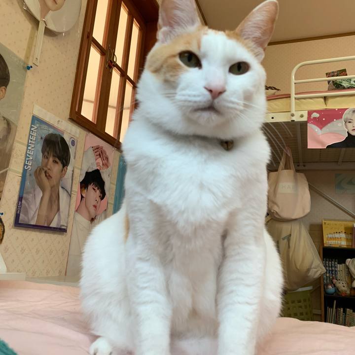 B77fa8c7 7b16 49ff 8151 9766b254d064 1587764217242