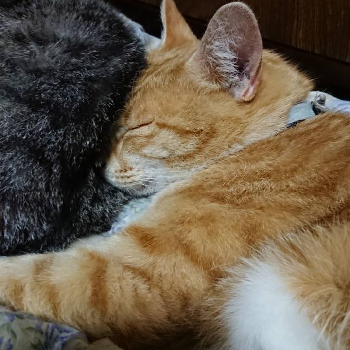 B77fd77e 54b3 4e43 83ad 96316b341116 1589720322184