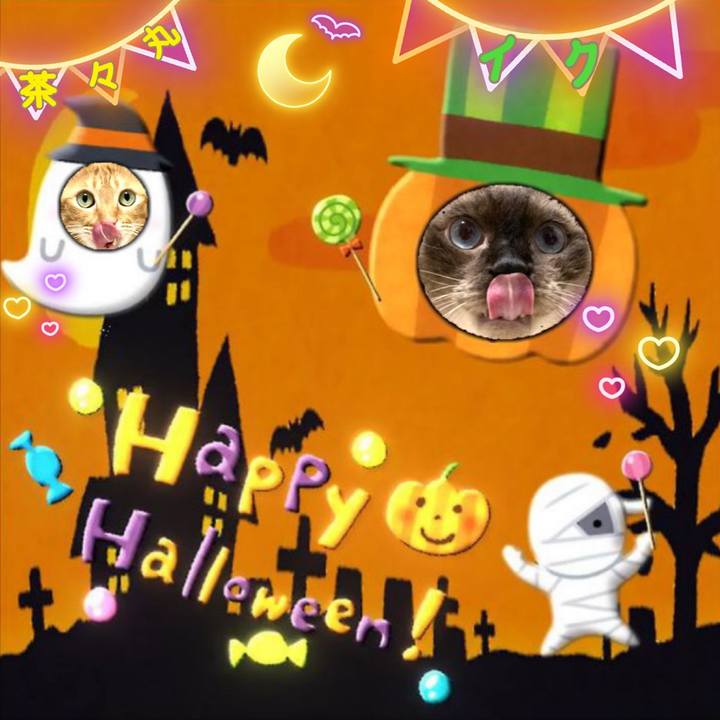 B77fe1da b8cf 437d 91a3 17f99c0a6112 1635169237887