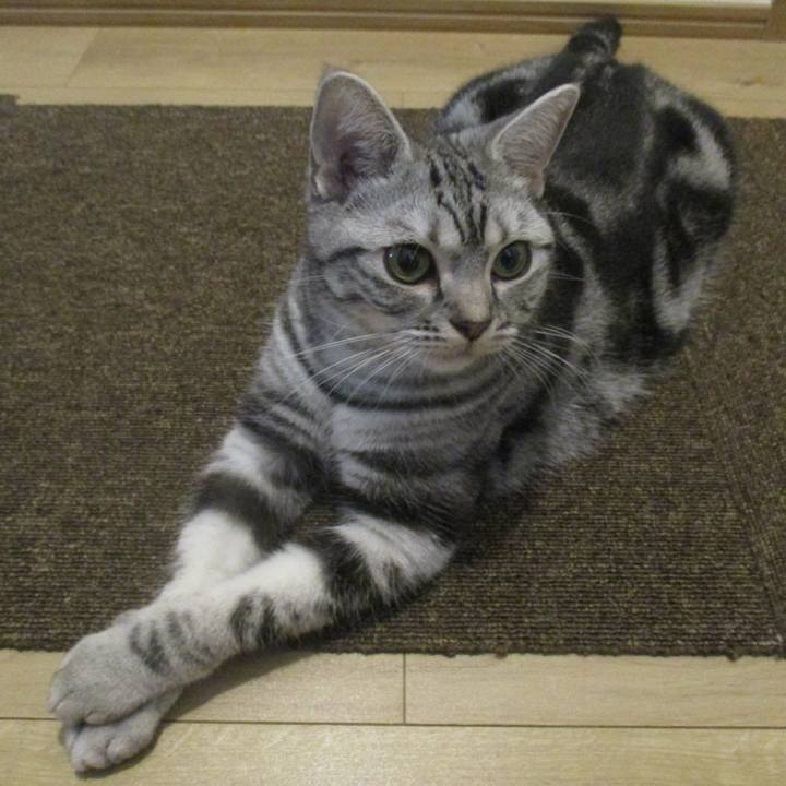 B77fe87e 7733 4c10 b10b 43210e4920ad 1572910904970