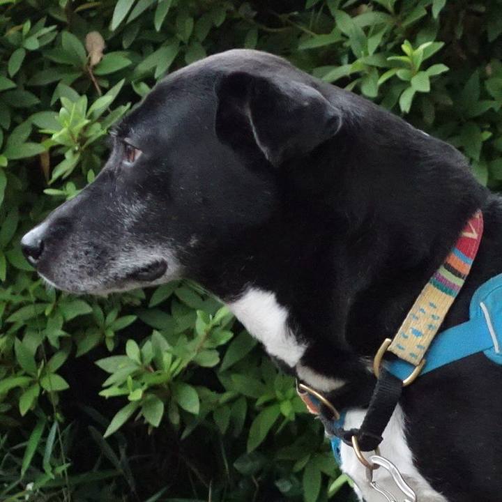 B7800434 b3ff 4afd ac5c bc878c08f360 1716890692705