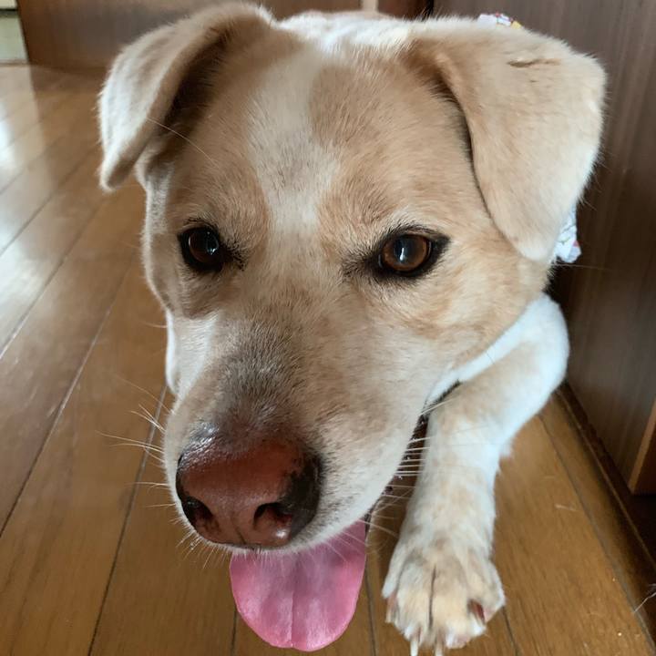 B78010b8 3a80 42ee b7f9 d788976101fa 1569205173965