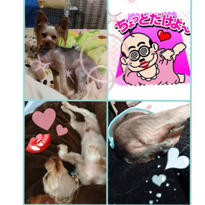 B780166d 3009 4f34 a31d 523c94b2e218 1536405742694