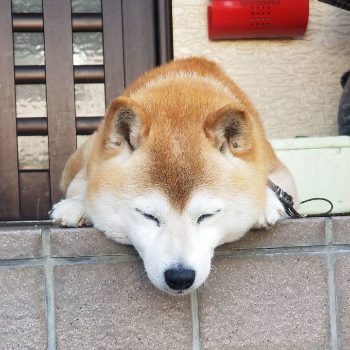 B7802270 f81b 4135 aefe 190ec2803523 1684365275876