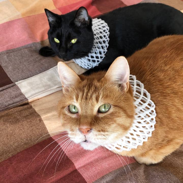 B7802394 3d81 4973 874f 8bb5ed84717e 1672371772619