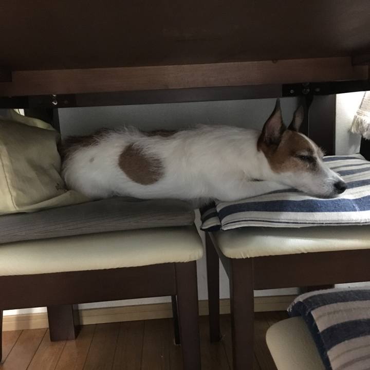 B78050c8 3668 4825 a081 a6389a17bd2d 1562128953734