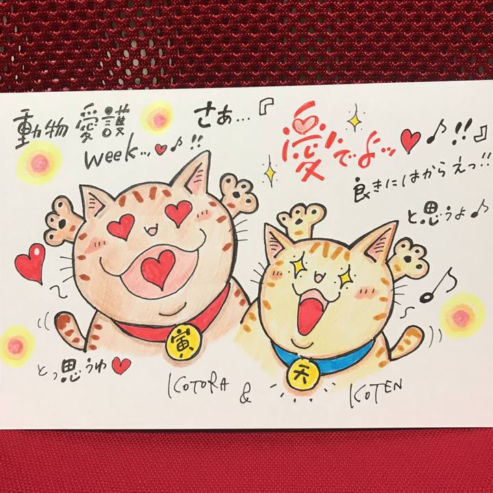 B7808284 bbae 4598 9d9d eda482fdf5f4 1568927829756