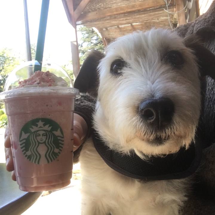 B780a4b5 e90a 493a af20 6b931a530a72 1618962183959