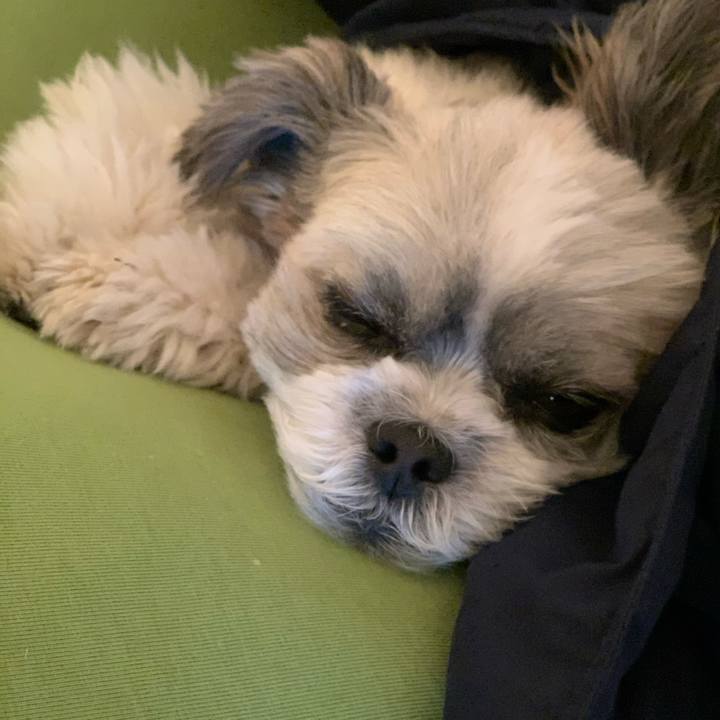 B780ad1e af1f 4f95 a638 587069c27994 1573512450942