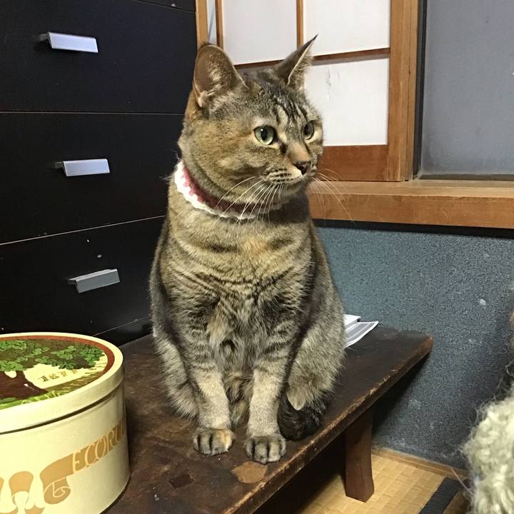 B780bd5a 599d 4b50 9123 0f3b5c53a412 1710928782205