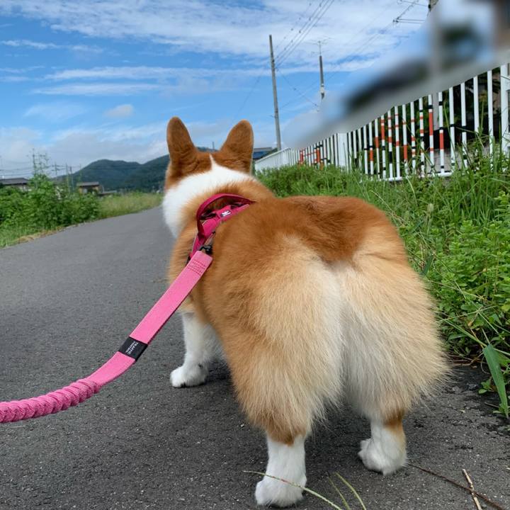 B780c6a7 5e71 47de a178 c55551709844 1631165513548