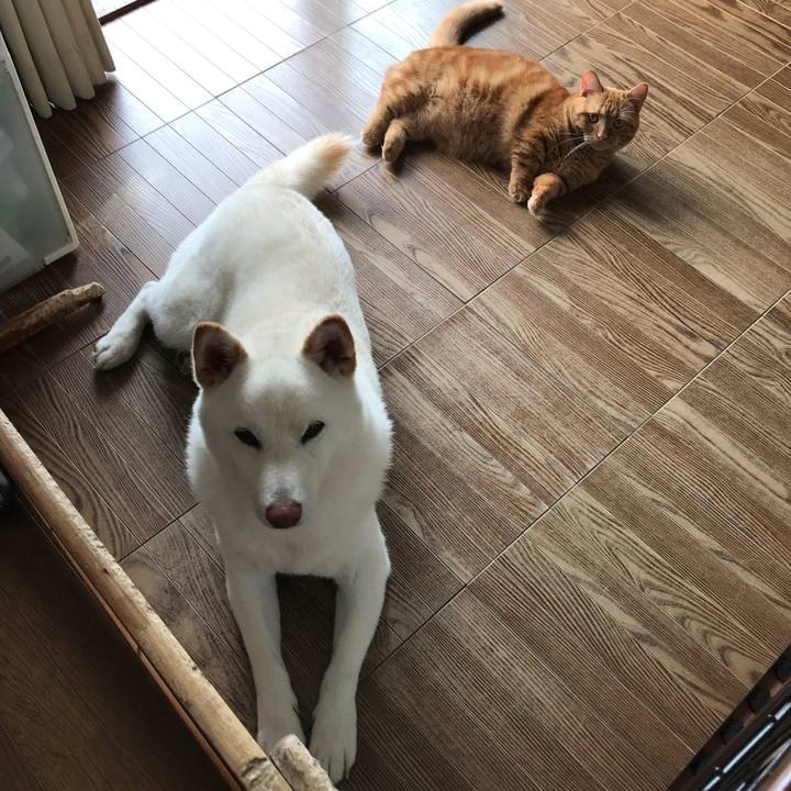 B780ead4 ac2d 4cb9 a4df 6585f3406c8f 1530678376001