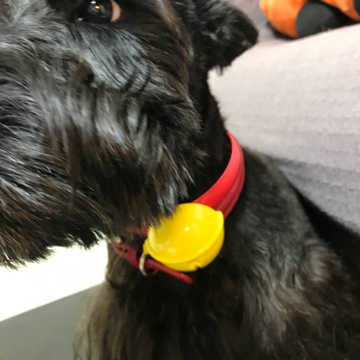 B780f5a0 e69c 4405 bc6d 8045d892dbc8 1525005951775