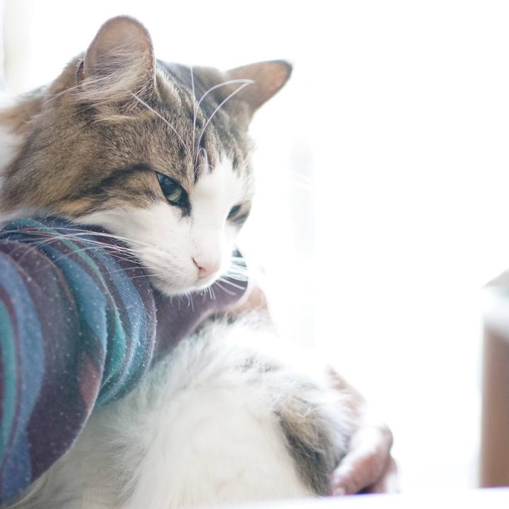 B7814557 bf9d 4fb9 85ba 2a1363077573 1573963071098