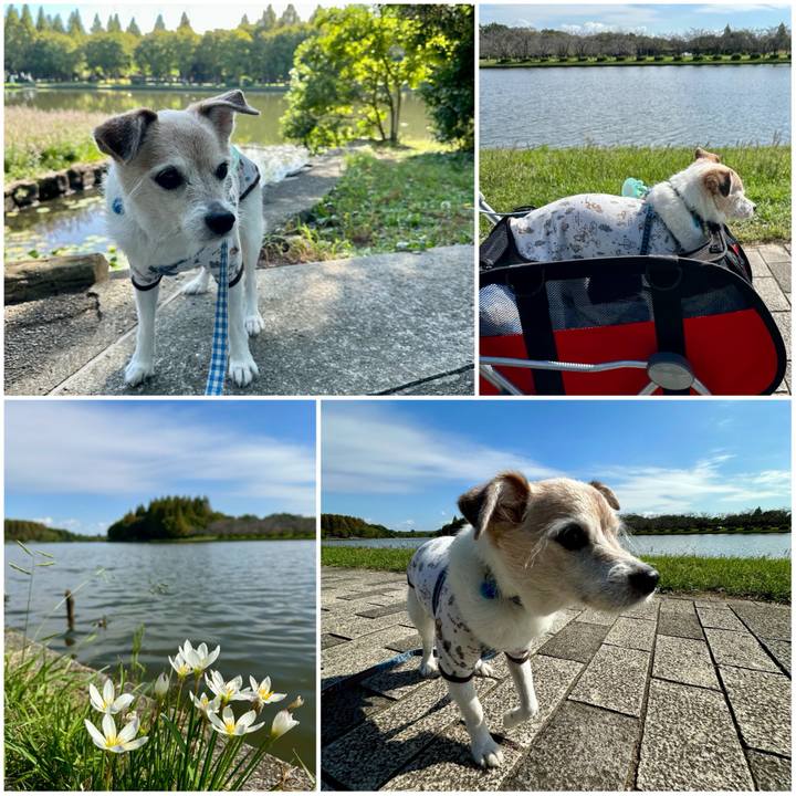 B7819a0a 339f 4724 bdd4 5e1c15a3e447 1760068895576