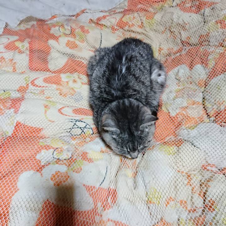 B781a1f3 5b6f 4dc6 a0c0 0fbdd92a2669 1581162028194