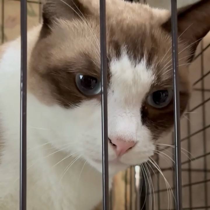 B781b944 9b25 4e45 b77f 5a26cf30a2c6 1760839220138