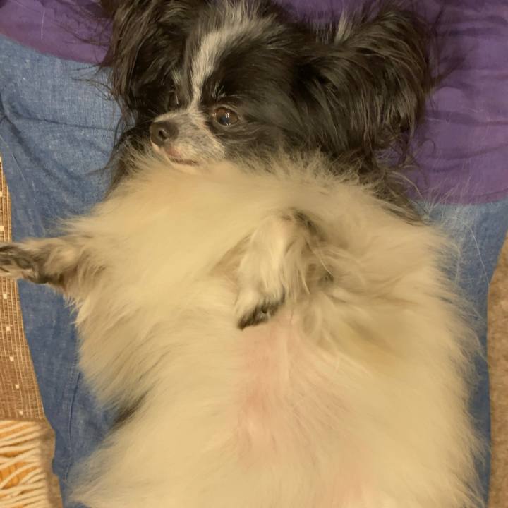 B781fb09 1e7d 4797 b4a6 e9e073c1665e 1566386518064